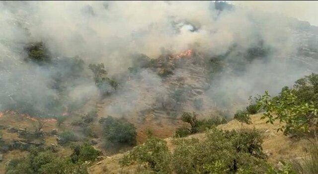 هزاران هکتار از مراتع کوه سیاه دشتستان در آتش سوخت