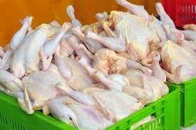 تولید مرغ بالاتر از نیاز مصرفی استان است