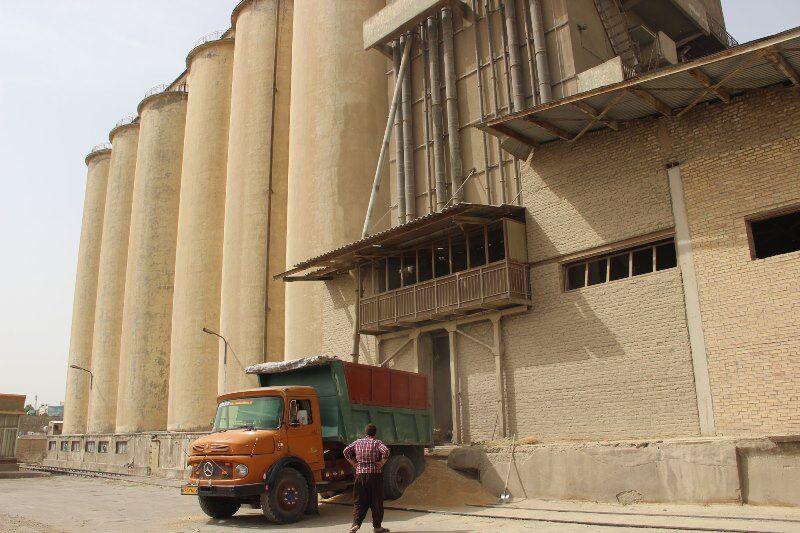 خرید تضمینی گندم در جنوب‌شرق تهران آغاز شد