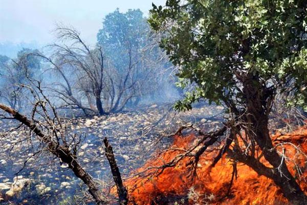 مقام‌های محلی: آتش‌سوزی منطقه خائیز مهار شد