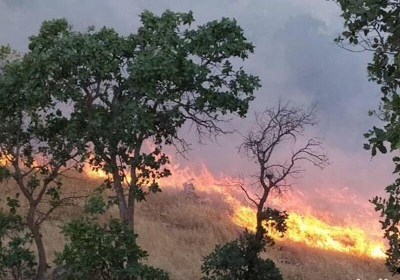 هشدار در مورد آتش‌سوزی جنگل و مراتع استان اردبیل