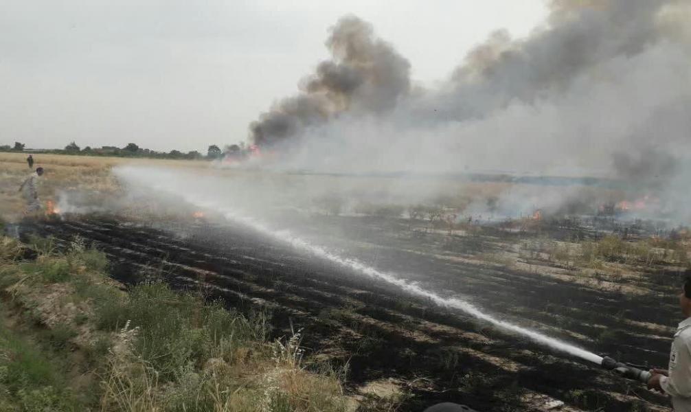 ده‌ها هکتار از مزارع گندم ورامین در آتش سوخت