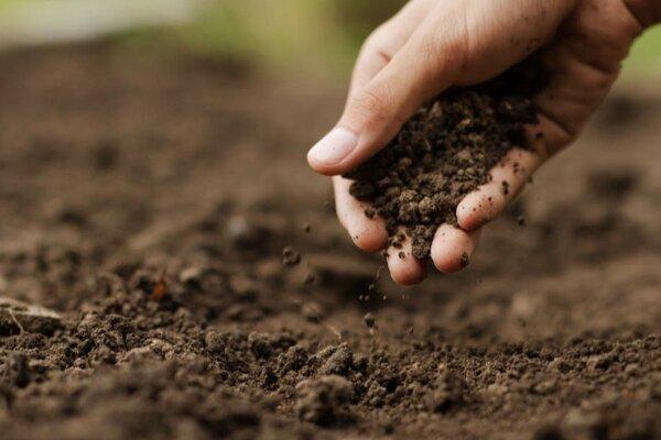 هوش مصنوعی رطوبت خاک را پیش بینی می کنند
