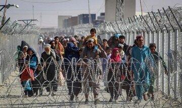 زنگ‌خطر گسیل مهاجرین غیرقانونی افغان از پاکستان به ایران/ چه چاره‌ای باید اندیشید؟