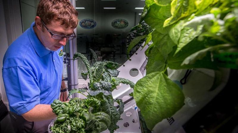 هشدار دانشمندان: خوردن سالاد در راه مریخ می‌تواند فضانوردان را بکشد