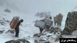 شش کولبر در استان کردستان در پی سقوط از کوه کشته یا زخمی شدند