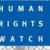HRW welcomes reviewing arms sales to S. Arabia, UAE