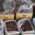 Date export from East Azarbaijan hits 20,000 tons