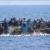 Dozens of migrants killed as boat sinks off Syrian coast