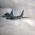 Ukraine air defense shoots down own plane