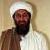 خبر مرگ اسامه بن لادن، یکی از رهبران اصلی شبکه‌ تروریستی القاعده، آنقدر مهم بود که همه رسانه‌های مهم تلویزیونی جهان بخش قابل توجهی از اخبار خود را به ان اختصاص دهند. فضای مجازی نیز به سرعت به این اتفاق واکنش نشان داد.