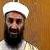 جزئیات بازجویی از زنان بن لادن/ حمله زنان رهبر القاعده به آمریکا
