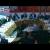 حمله به روپرت مرداک در جلسه پاسخگویی به پارلمان انگلیس/عکس