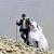 ازدواج‌های جالب در ایران/ تراکتور جای ماشین عروس را گرفت!