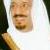 وزير دفاع جديد عربستان سعودي تعيين شد