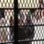نگرانی عفو بین الملل از مرگ زندانیان در اثر شکنجه در لیبی