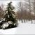 بارش برف راه های مواصلاتی 24 روستا در سپیدان را مسدود کرد