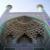 بیش از 500 مسجد در تهران آماده برگزاری مراسم تحویل سال نو هستند
