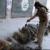عكس تكان‌دهنده از قتل عام سربازان سوري