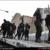 گزارش تصویری / دستگیری 100 تن از اراذل و اوباش و زورگیران پایتخت