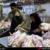توزیع مرغ سرد در کرمان/ کمبود مرغ جبران می شود