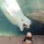عکس/ ابراز محبت یک دلفین به کودک
