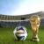 رونمایی از توپ رسمی جام جهانی/تصاویر