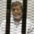 محمد مرسی به فروش اطلاعات محرمانه مصر به قطر متهم شد