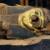 عکس/ بازکردن تابوت مومیایی2500ساله