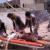 گروهی از مجروحان حادثه تروريستی يمن به تهران منتقل شدند