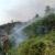 پلیس به دنبال قاتلی که ۲۰۰ هکتار جنگل بلوط را به آتش کشید