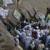 تصاویر:غار حراء در حج تمتع امسال