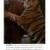 ببر سیبری در آغوش نواب صفوی + عکس