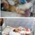 نوزاد توسط موش ها خورده شد! +عکس