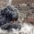 سرکرده چچنی داعش در موصل کشته شد