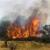 آتش‌سوزی در مراتع چلم‌کوه نکا همچنان ادامه دارد/ مراتع در حال خاکستر شدن/ تلاش نیروهای امدادی برای اطفای حریق