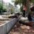 شهردار ناحیه 2 منطقه 1 شهرداری تهران به دلیل قطع درختان خیابان ولیعصر عزل شد