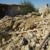 دفن 10 هزار و 560 راس دام تلف شده براثر زلزله کرمانشاه
