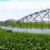 آبیاری 10 هزار هکتار اراضی کشاورزی قزوین نوین می شود