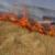 یک فقره آتش سوزی در مراتع قزوین به وقوع پیوست