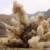 حمله هوایی علیه طالبان 11 کشته داشت