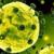 اقدامات مدیریت بندر ماهشهر برای مقابله با ویروس کرونا