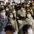 شام کرونایی پزشکان ژاپنی، ابتلای ۱۸ پزشک بعد از مهمانی جمعی