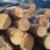 کشف بیش از ۷ تن چوب جنگلی قاچاق در فومن