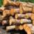 دستگیری قاچاقچی چوب‌های جنگلی در عباس آباد