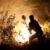 آتش‌سوزی در جنگل‌ها: فقر فرهنگی یا ناکارآمدی مسئولان؟