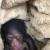 ماجرای انتقال شامپانزه ۳ ساله به خارج از کشور