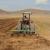 فصل کشت گندم در بوشهر، دغدغه‌های کشاورزان و وعده‌های مسئولان