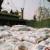 محموله ۶۵۰۰تنی برنج دپو شده در بندر شهید رجایی ترخیص شد