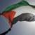 آمریکا کمک انسانی به فلسطین را از سرمی گیرد